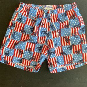 Trunks American Beach Shorts